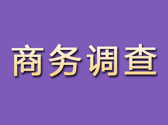 石景山商务调查